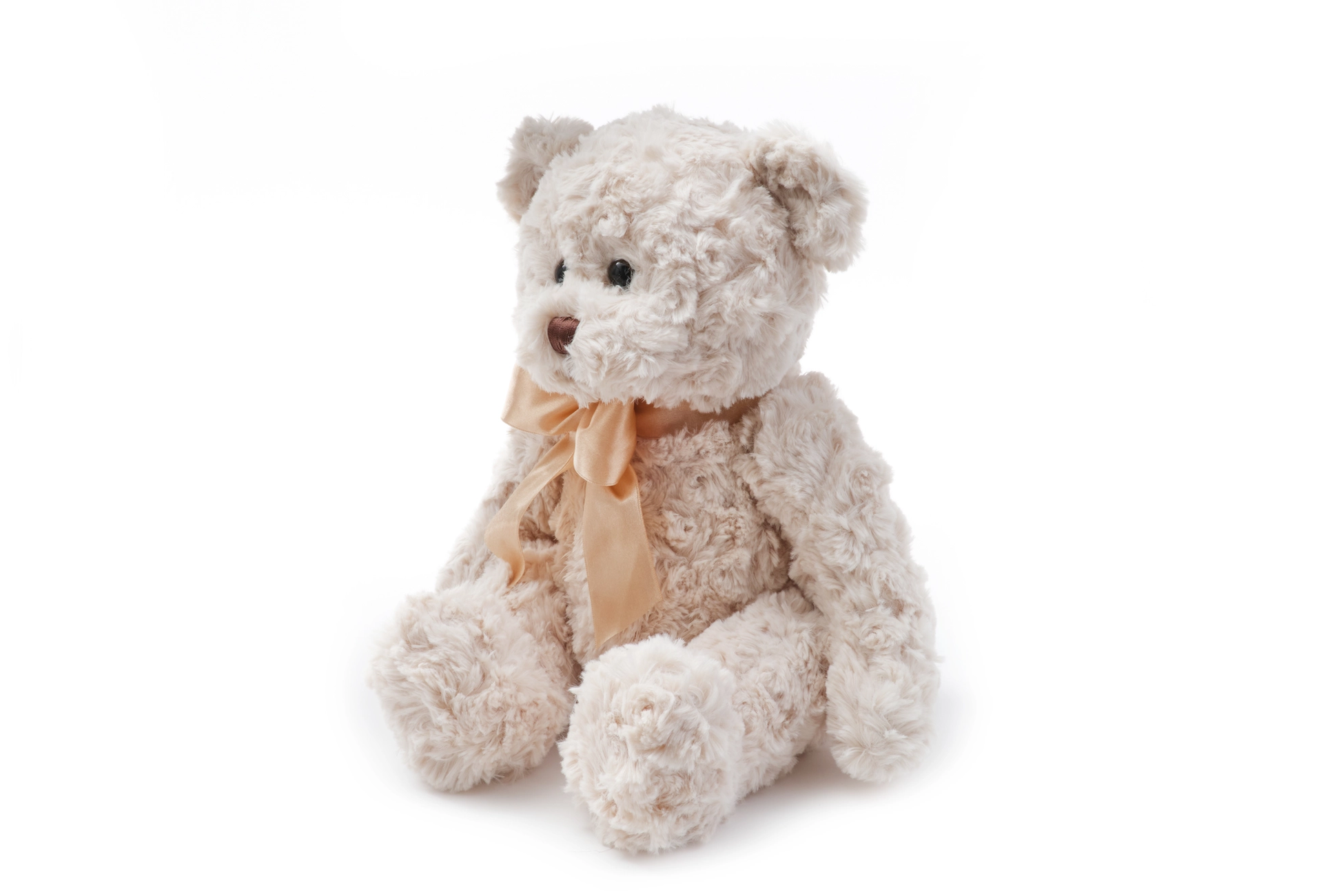 Teddy Bear with Roll Neck Sweater