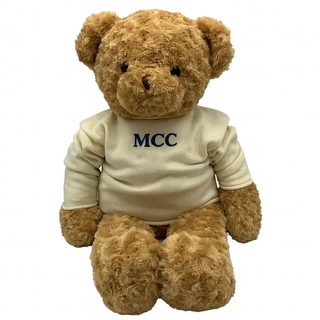 Teddy Bear with Roll Neck Sweater